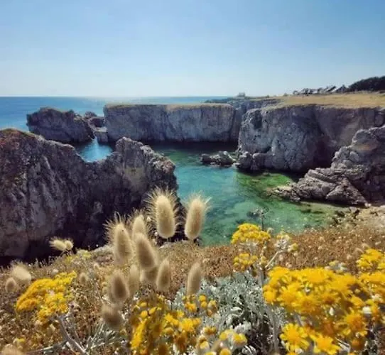 Chez A.s.y. 公寓 *