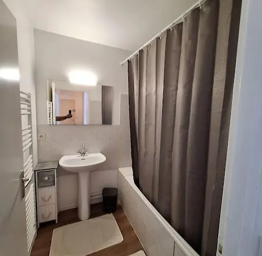 公寓 Chez A.s.y. *